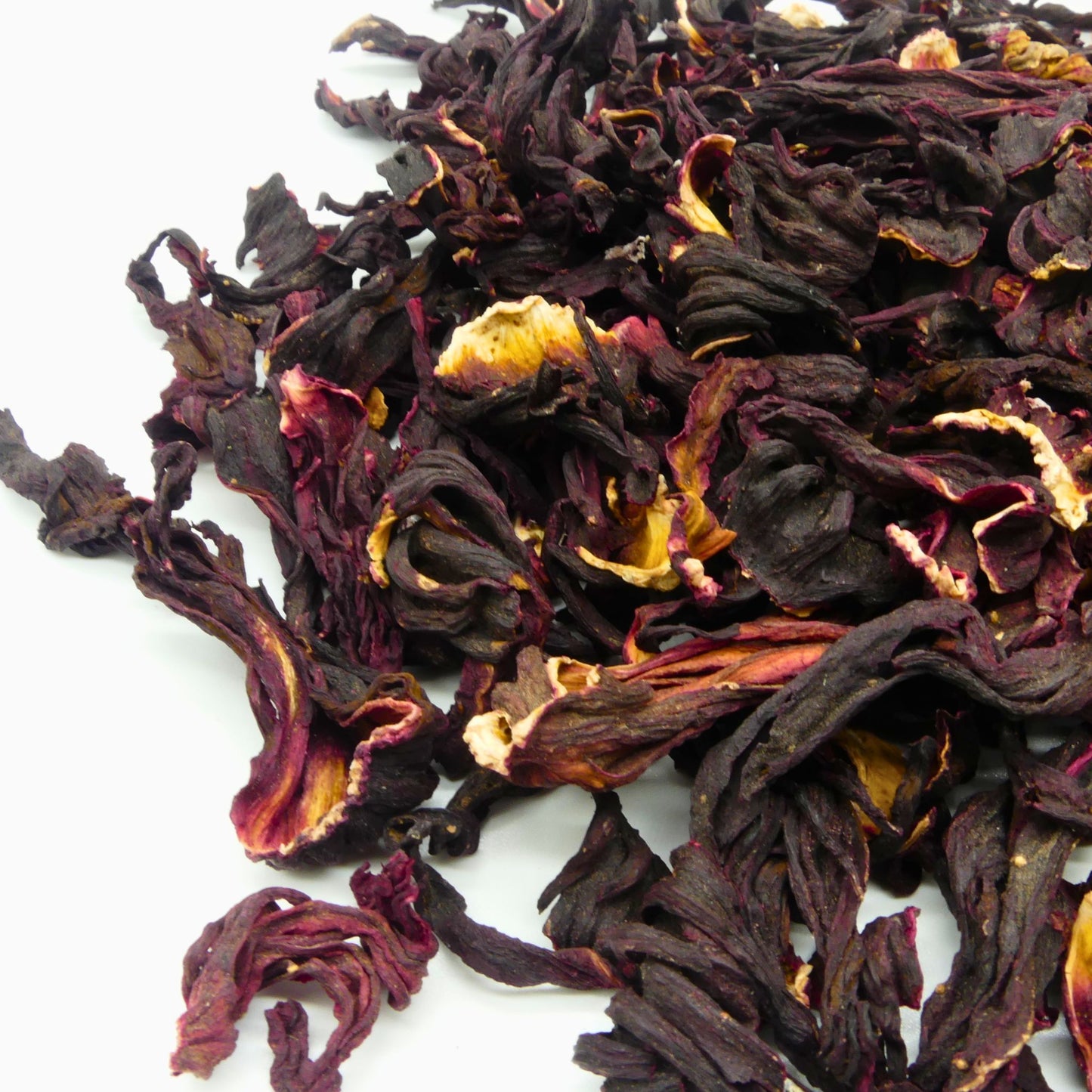 Hibiskus Pferd