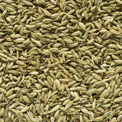 Fenchel Pferd