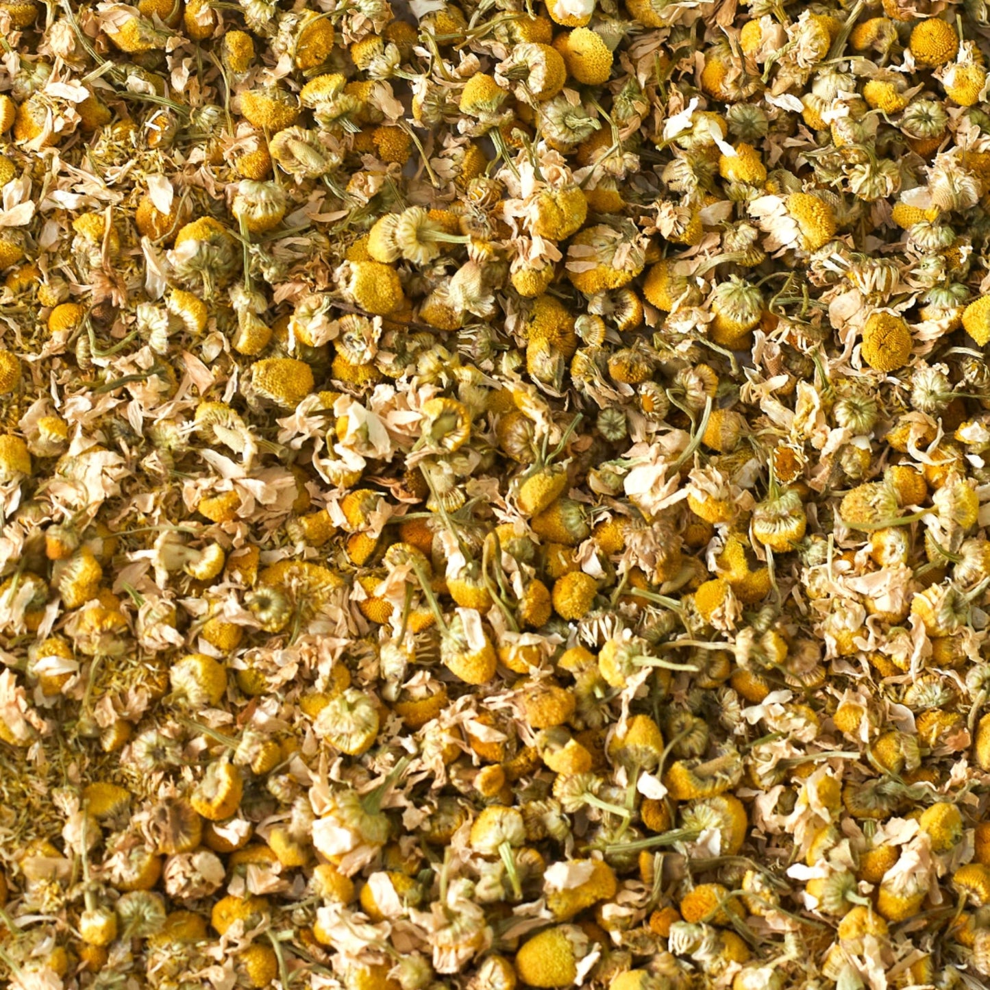 Kamillenblüten (ganze Blüte) Pferd 1kg